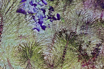 N 077H